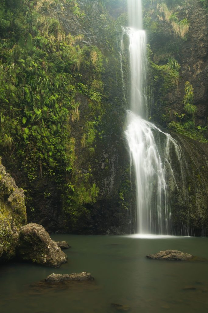 Go west, the best things to do at Piha Beach