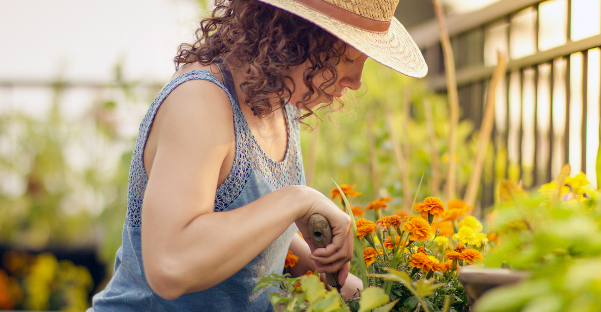 Love Your Garden