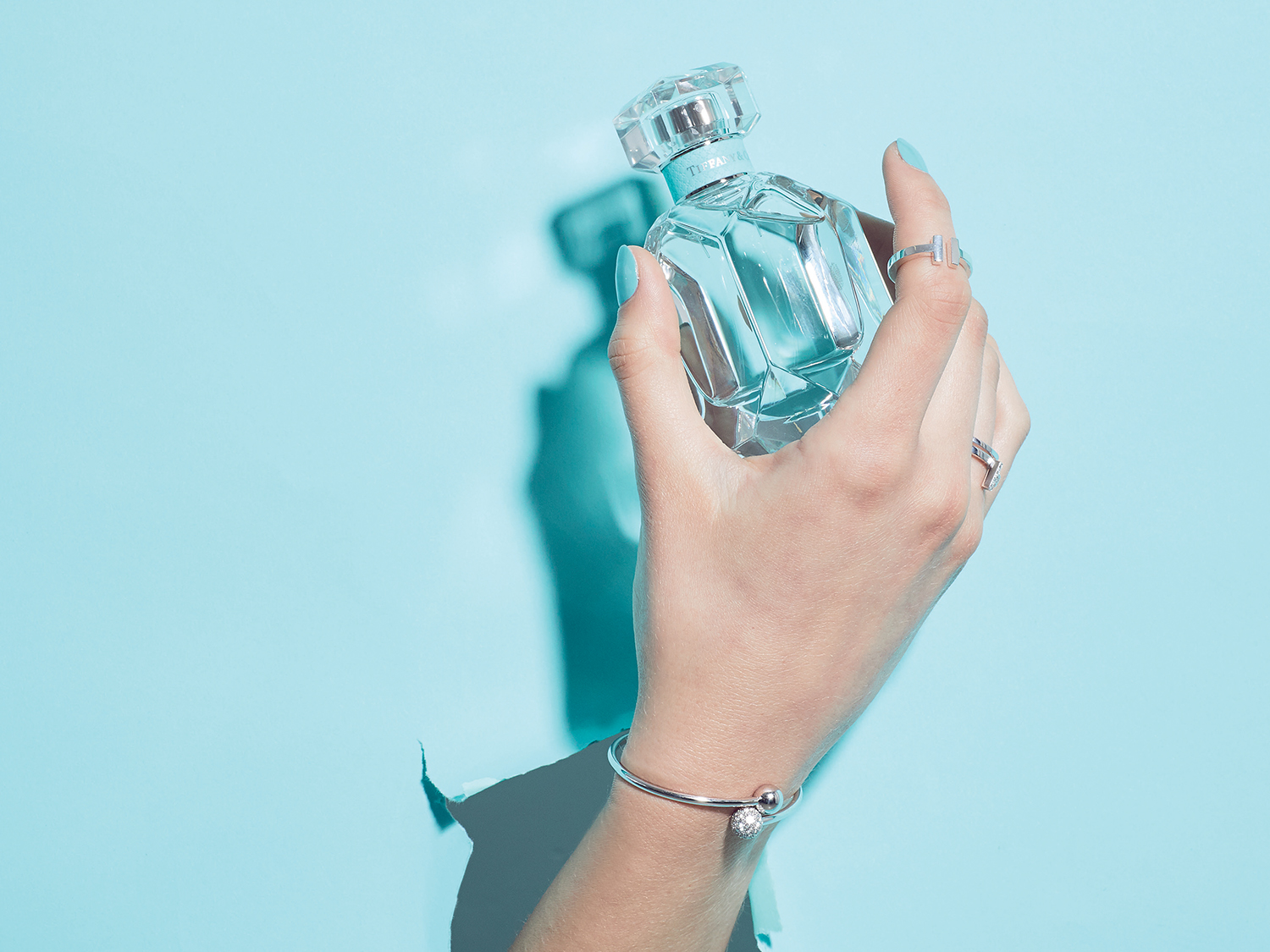 all you need tiffany fragrance