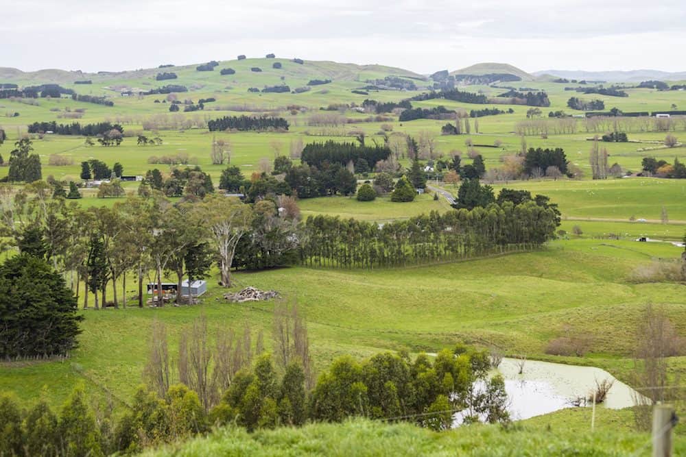 Meet the Kiwi Farmers Giving Back to the Land to Create Award-winning ...